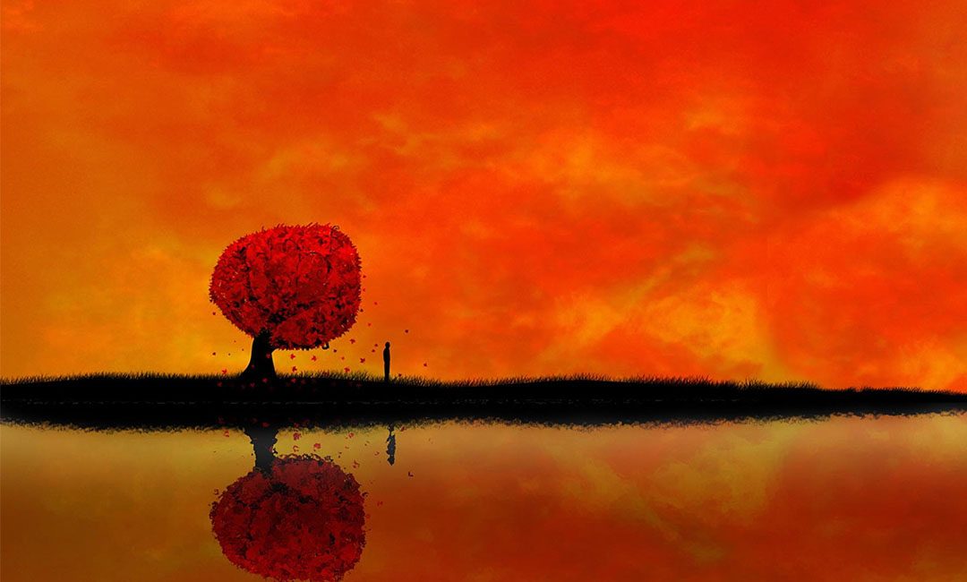 绥化笙影微信朋友圈转发案例